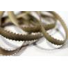 ruban picot Antique / vert tendre