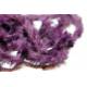 fourrure de luxe lune Prune