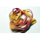ruban SALSA Fauve
