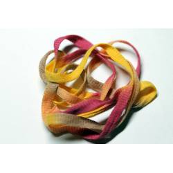 ruban SALSA Fauve