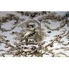 tissu / coupon toile Balancelle