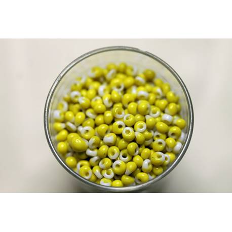 perles bicolores 2
