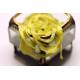 tricotine jaune et or