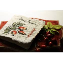 Kit cousette Cynorrhodon et ses Aiguilles